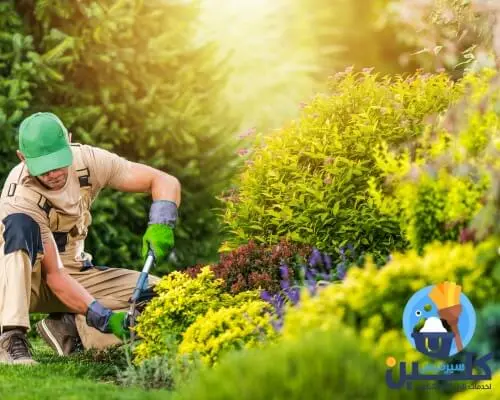 شركة تنظيف حدائق بالرياض