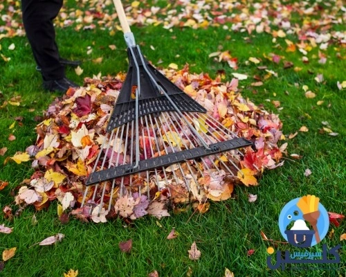 شركة تنظيف حدائق بالرياض